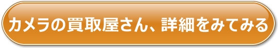 J̌TCgւ̃N