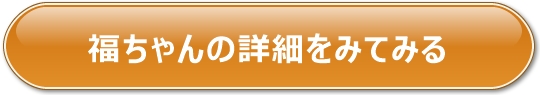 ̌TCgւ̃N